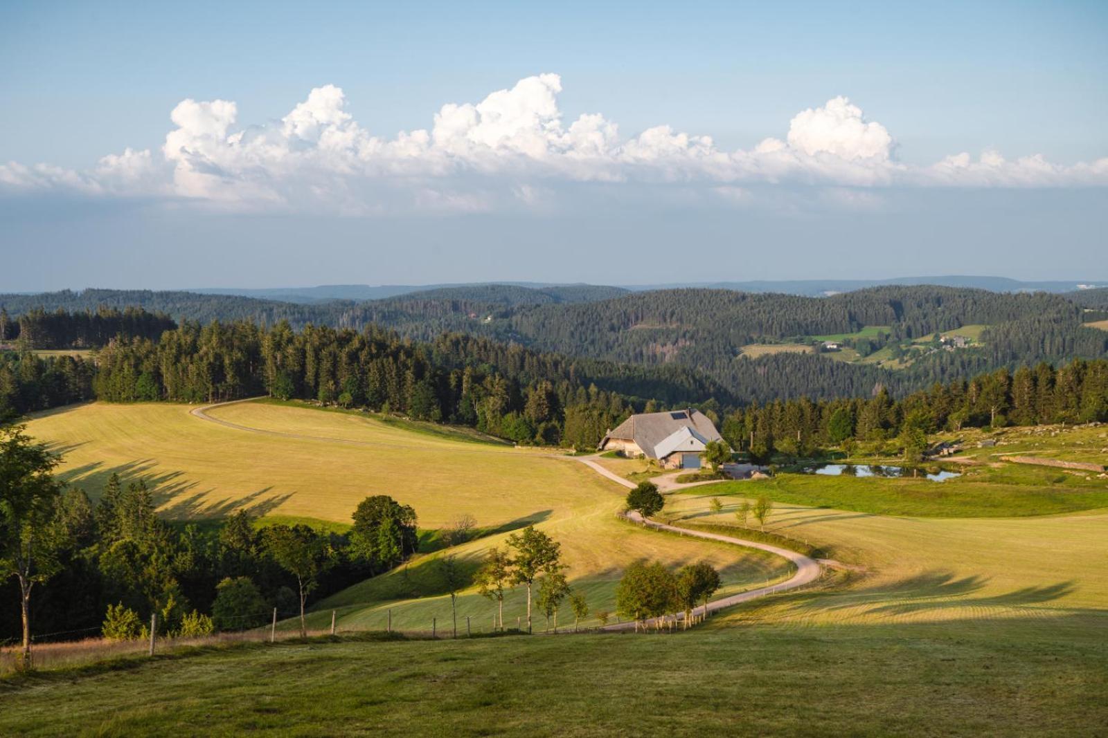 Landhaus Panoramablick سخوناخ المظهر الخارجي الصورة